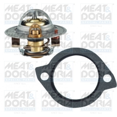 Thermostat, coolant
